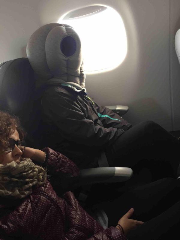 Illustration de l'article : The 13 worst people who might be seated next to you on a plane