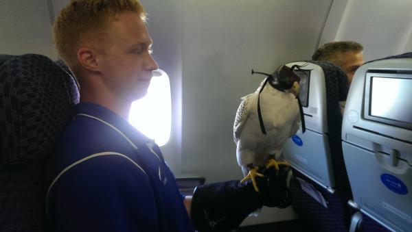 Illustration de l'article : The 13 worst people who might be seated next to you on a plane