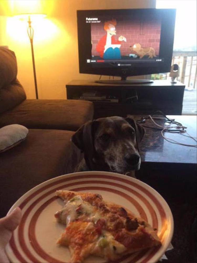 Illustration de l'article : 17 unlikely moments that could only happen once!