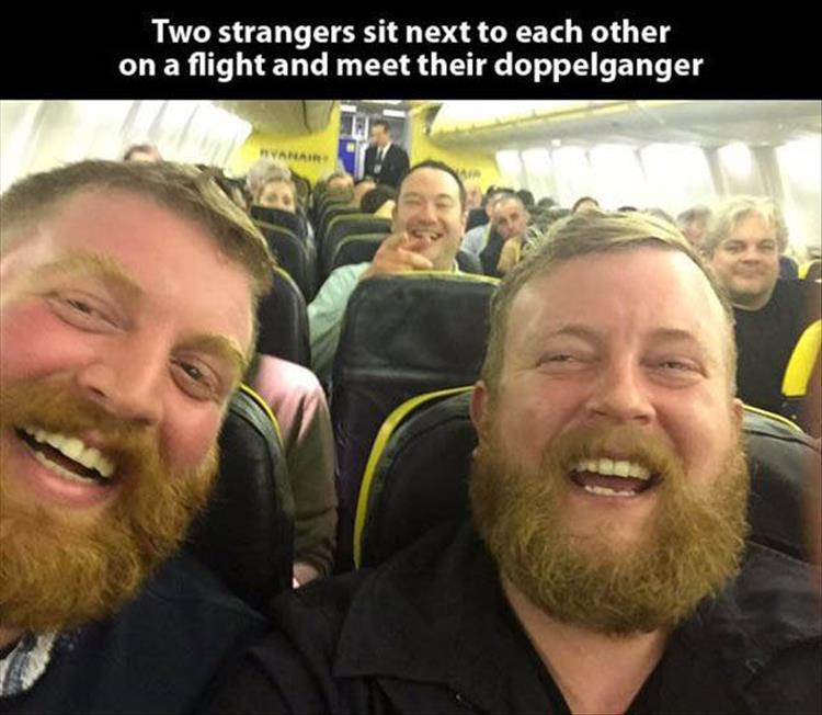 Illustration de l'article : 17 unlikely moments that could only happen once!