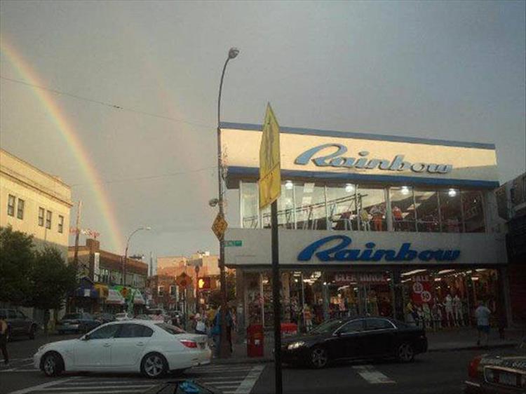 Illustration de l'article : 17 unlikely moments that could only happen once!