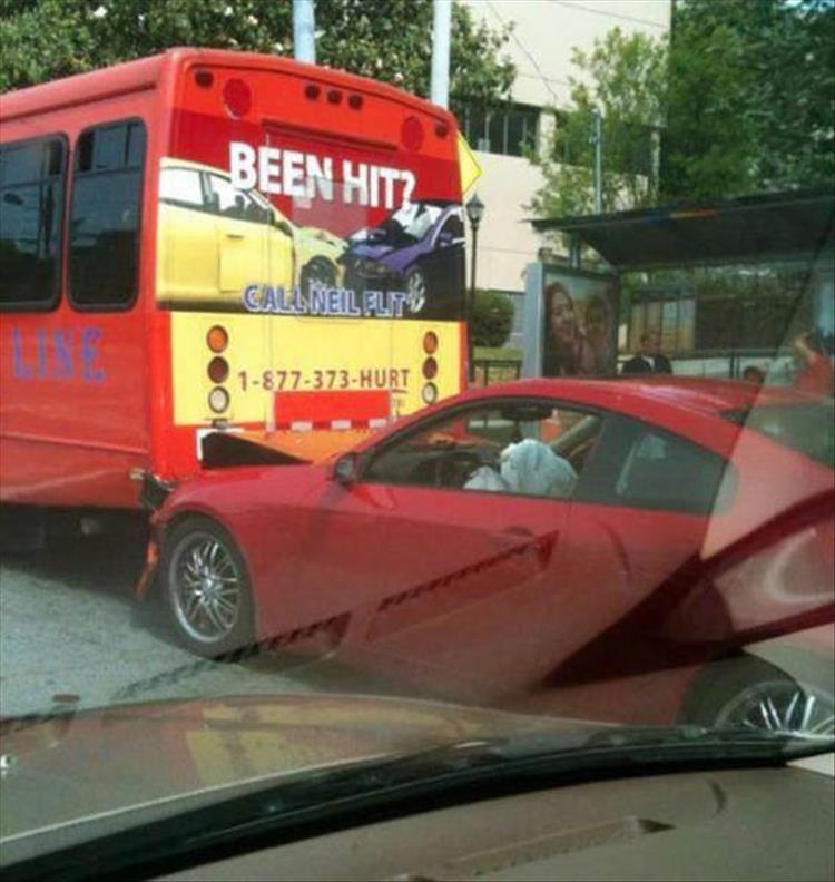 Illustration de l'article : 17 unlikely moments that could only happen once!