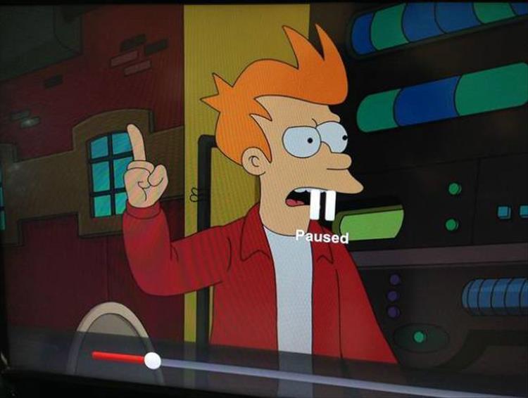 Illustration de l'article : 17 unlikely moments that could only happen once!