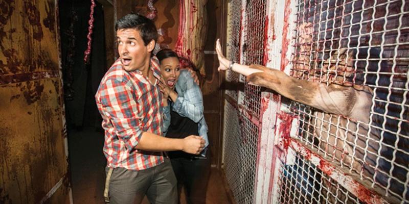 Illustration de l'article : 20 photos from &ldquo;The Walking Dead Attraction&rdquo;! Which ones will scare you the most?