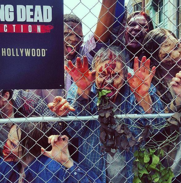Illustration de l'article : 20 photos from &ldquo;The Walking Dead Attraction&rdquo;! Which ones will scare you the most?