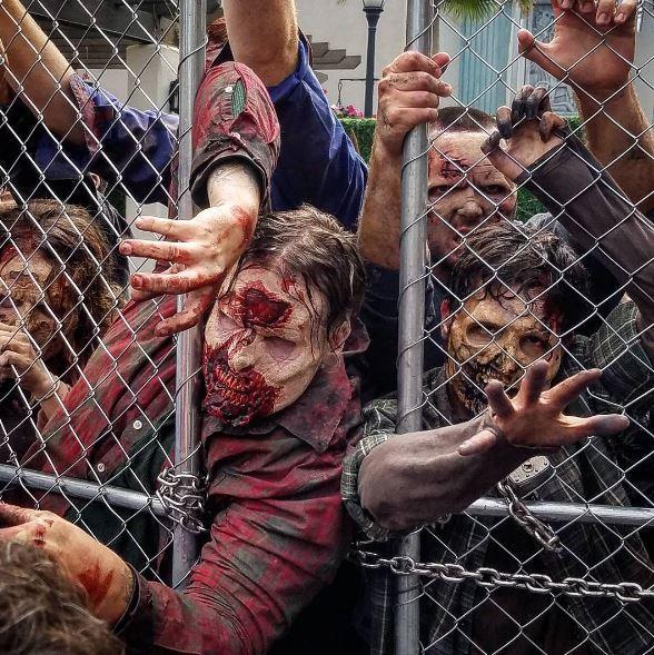 Illustration de l'article : 20 photos from &ldquo;The Walking Dead Attraction&rdquo;! Which ones will scare you the most?