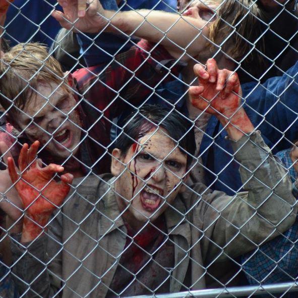 Illustration de l'article : 20 photos from &ldquo;The Walking Dead Attraction&rdquo;! Which ones will scare you the most?