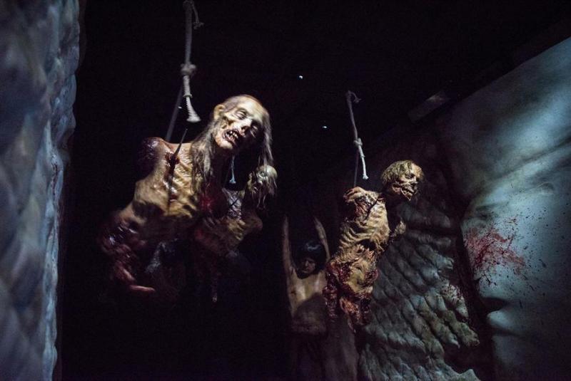 Illustration de l'article : 20 photos from &ldquo;The Walking Dead Attraction&rdquo;! Which ones will scare you the most?