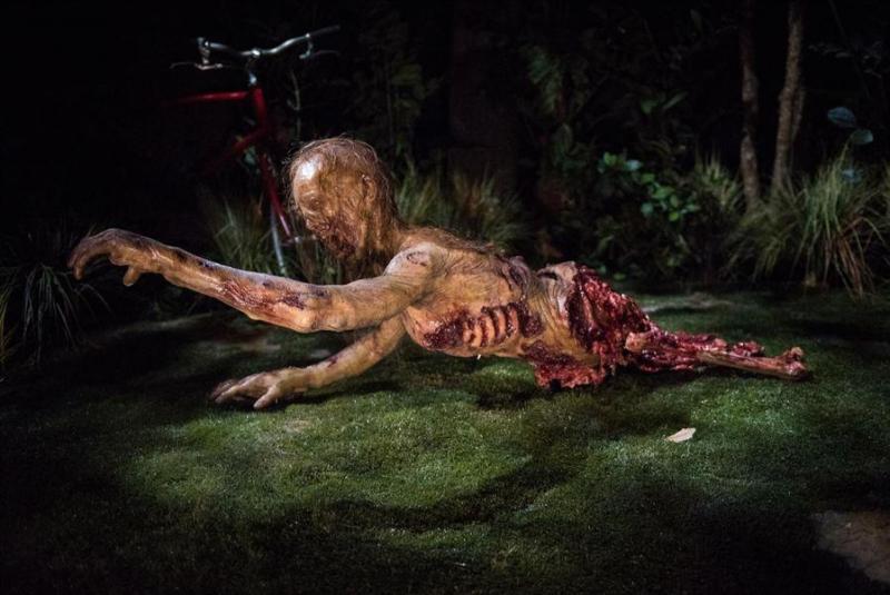 Illustration de l'article : 20 photos from &ldquo;The Walking Dead Attraction&rdquo;! Which ones will scare you the most?