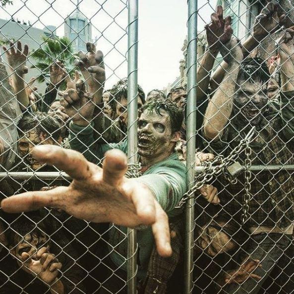 Illustration de l'article : 20 photos from &ldquo;The Walking Dead Attraction&rdquo;! Which ones will scare you the most?