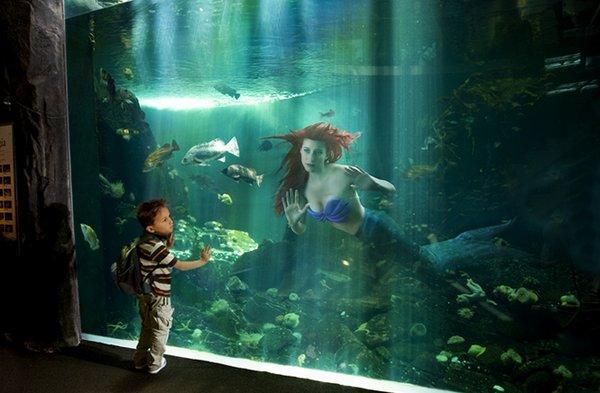 Illustration de l'article : If you had been one of these 9 Disney princesses, what would your life have been like after the fairy tale?