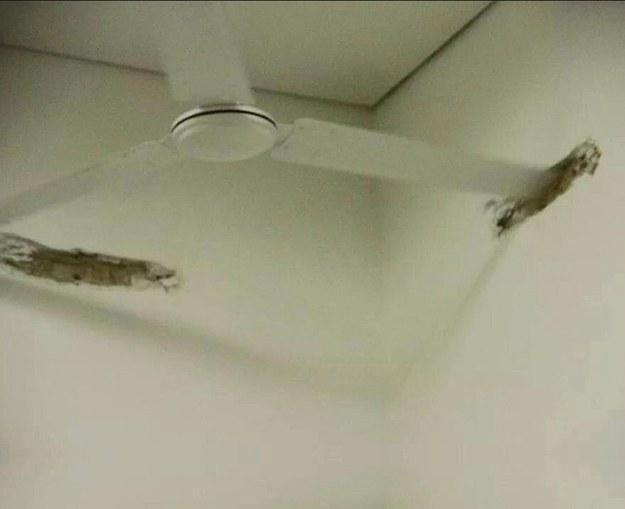 Illustration de l'article : 18 photos of DIY fails!