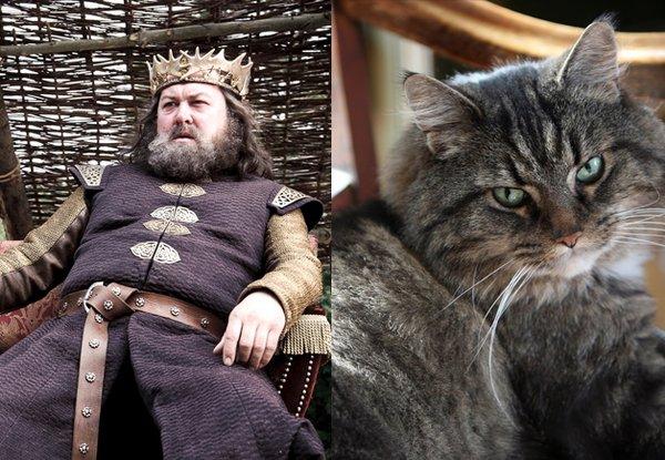 Illustration de l'article : 21 cats who are the official doubles of the “Game of Thrones” actors!