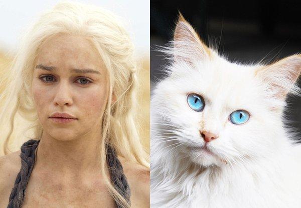 Illustration de l'article : 21 cats who are the official doubles of the “Game of Thrones” actors!