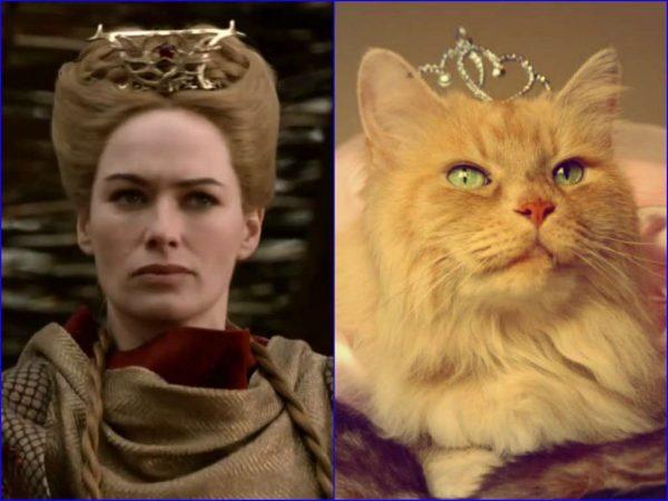 Illustration de l'article : 21 cats who are the official doubles of the “Game of Thrones” actors!