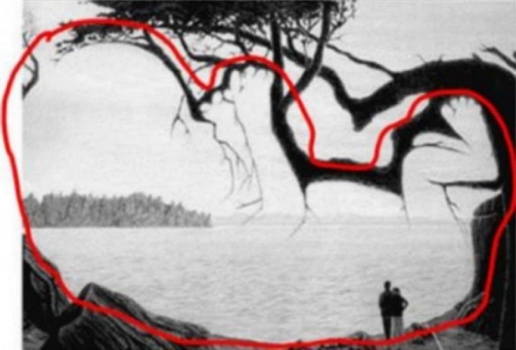 Illustration de l'article : Only 35 out of 100 people are able to see the hidden person in this image. Are you one of them?