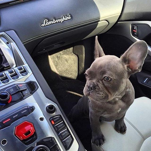 Illustration de l'article : 18 photos of parents who show off their fortune on social networks! Which ones are the most shocking?