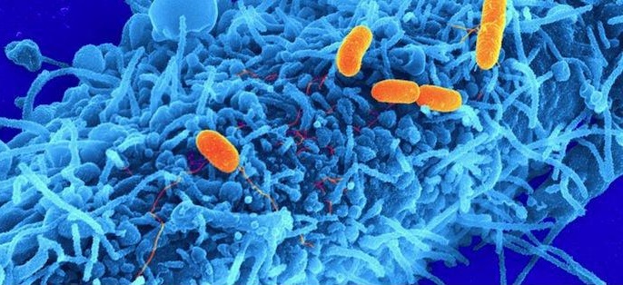 Illustration de l'article : 23 facts about the human body that will surprise you every time! 