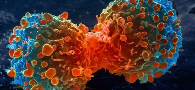 Illustration de l'article : 23 facts about the human body that will surprise you every time! 