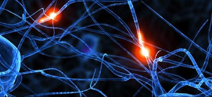 Illustration de l'article : 23 facts about the human body that will surprise you every time! 