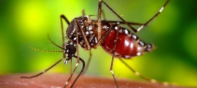 Illustration de l'article : 23 facts about the human body that will surprise you every time! 