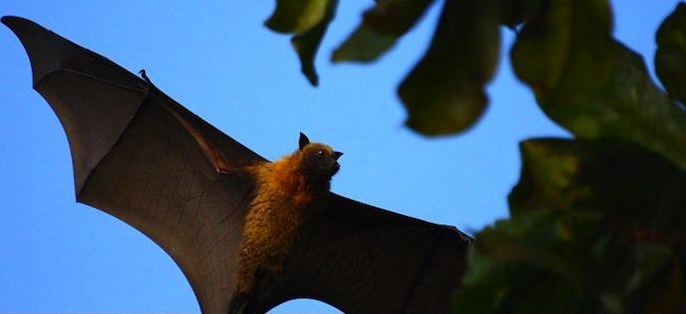 Illustration de l'article : 23 facts about the human body that will surprise you every time! 