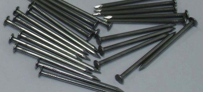 Illustration de l'article : 23 facts about the human body that will surprise you every time! 