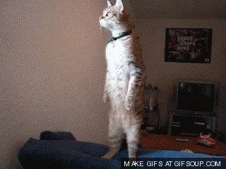 Illustration de l'article : 14 unimaginable phobias that actually exist! Which ones are the most surprising to you?