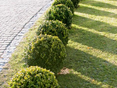 Illustration de l'article : The 10 most stolen items on Earth!