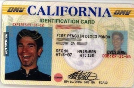 Illustration de l'article : 18 of the most bizarre and surprising ID cards