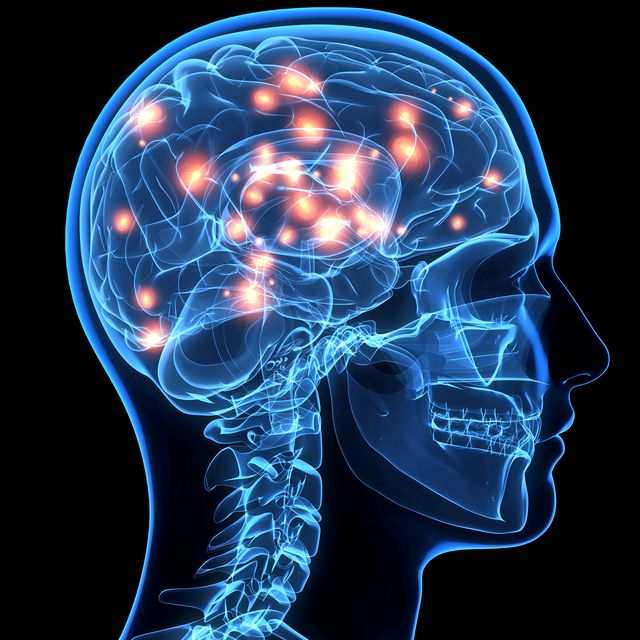 Illustration de l'article : 15 surprising facts about your brain!