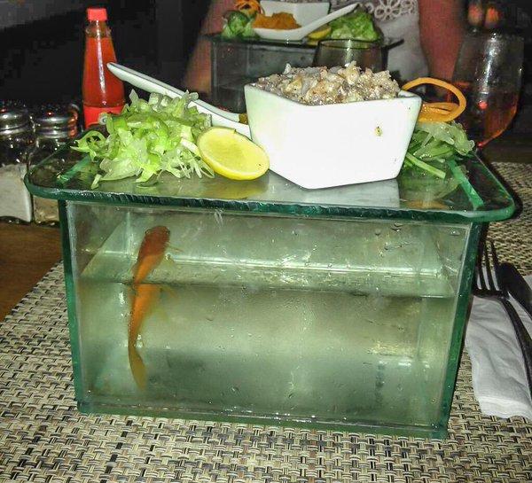 Illustration de l'article : 16 restaurants that took their innovative concept a little too far!