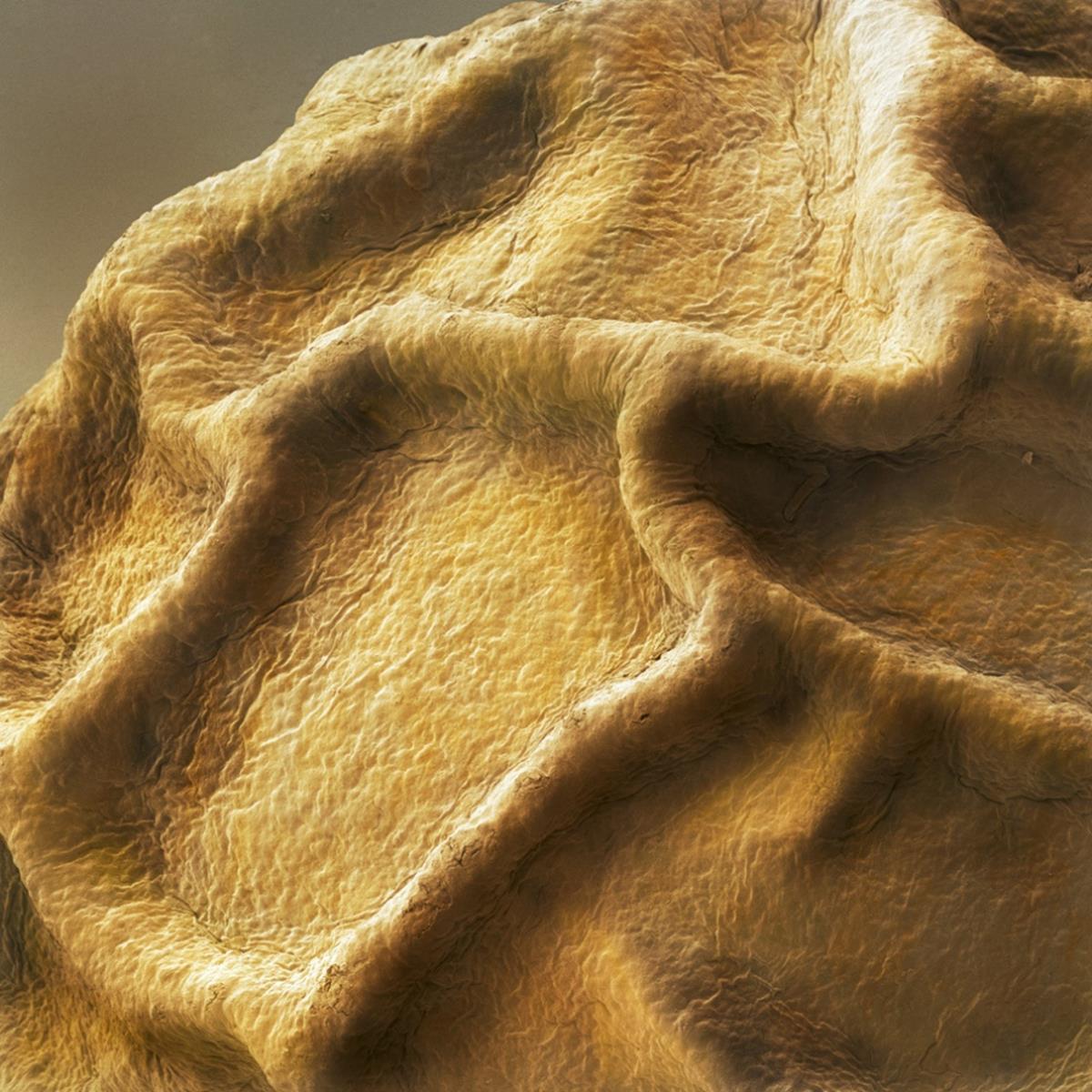 Illustration de l'article : 16 foods and beverages under the microscope!