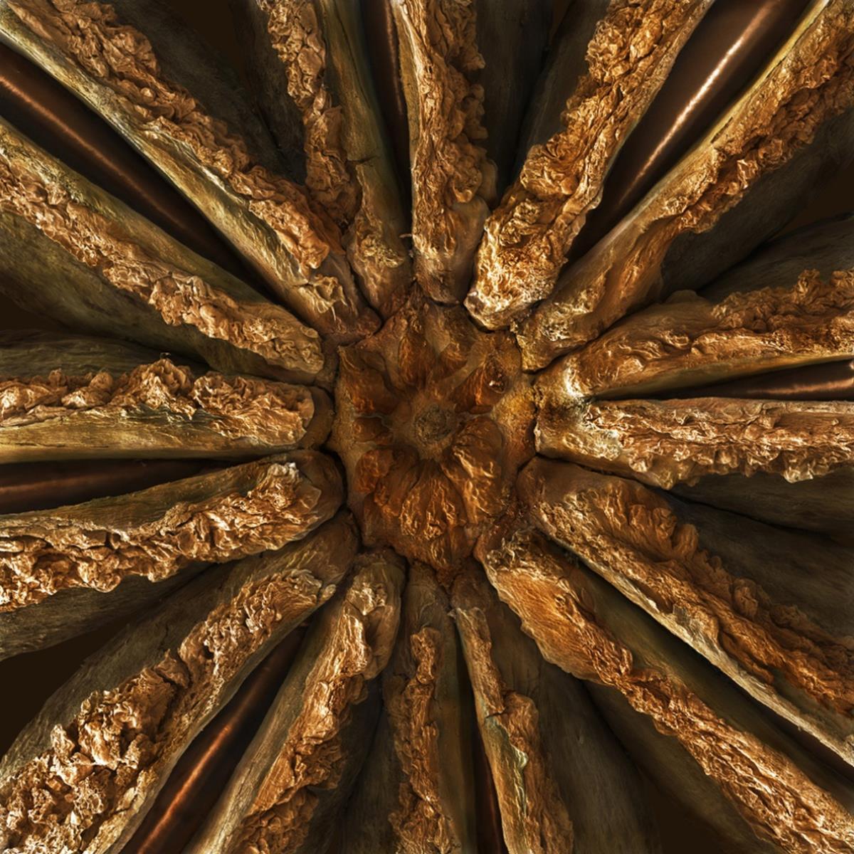 Illustration de l'article : 16 foods and beverages under the microscope!