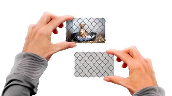 Illustration de l'article : 13 unique business cards!