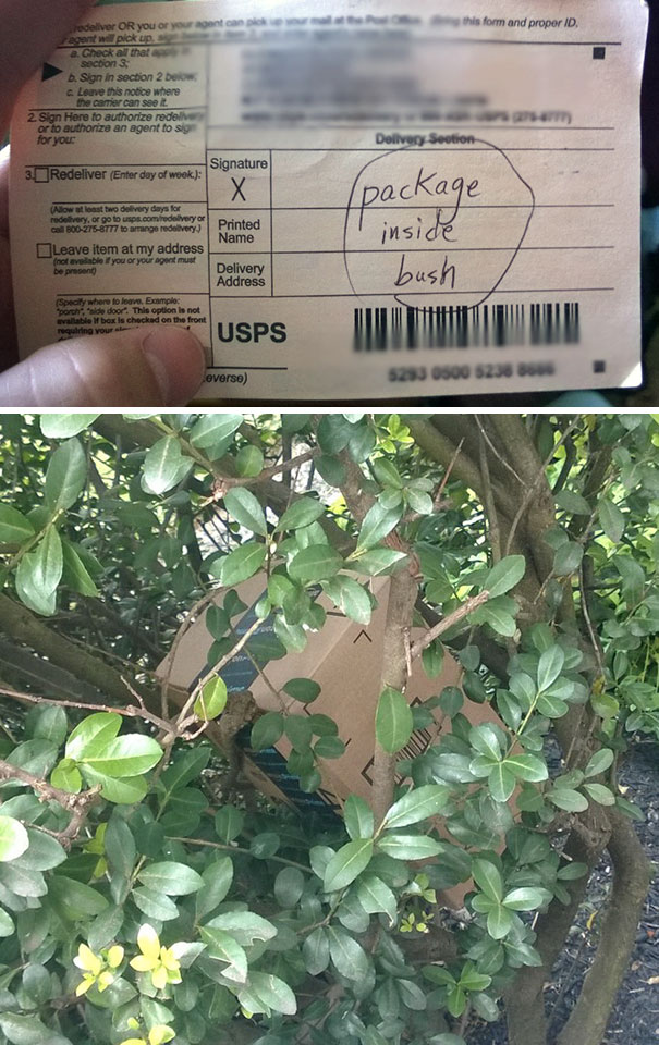 Illustration de l'article : 14 delivery people who completely failed at their deliveries