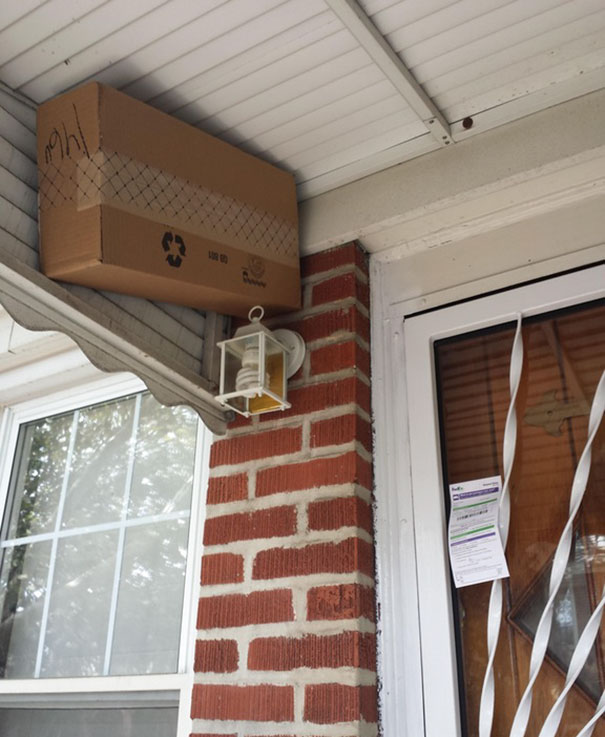 Illustration de l'article : 14 delivery people who completely failed at their deliveries