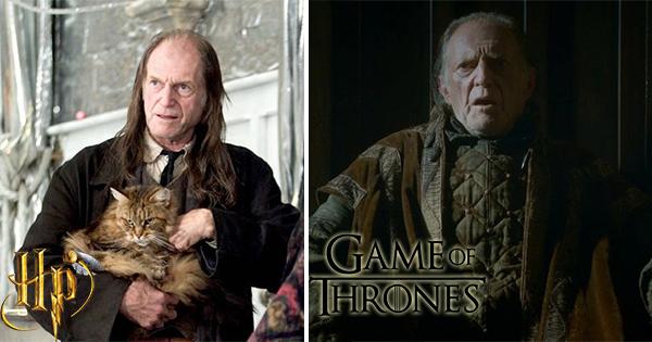 Illustration de l'article : 12 actors and actresses who were in Harry Potter and also “Game of Thrones”!