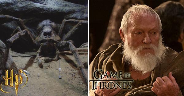 Illustration de l'article : 12 actors and actresses who were in Harry Potter and also “Game of Thrones”!