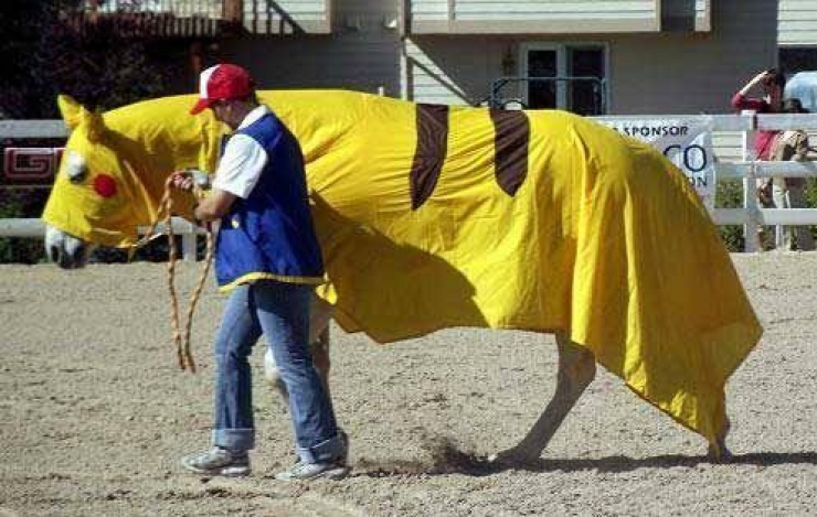 Illustration de l'article : The 24 weirdest Pokémon fans in photos!