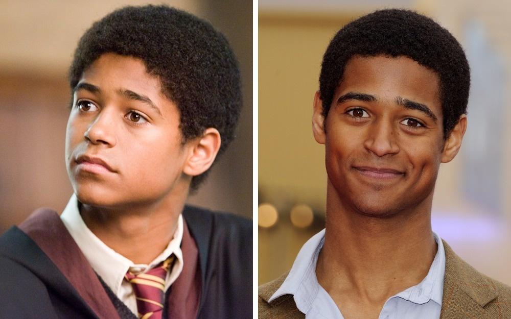Illustration de l'article : 24 Harry Potter characters who have been completely transformed! Which ones have changed the most?