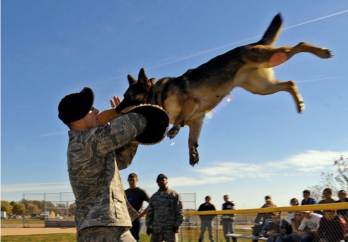Illustration de l'article : 24 spectacular photographs unveil the US military in action!