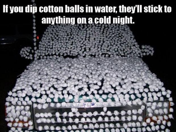 Illustration de l'article : These 14 photos show that people have a little too much time on their hands!