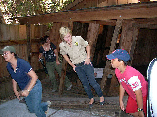 Illustration de l'article : 5 fascinating mystery spots that any thrill-seeker will love