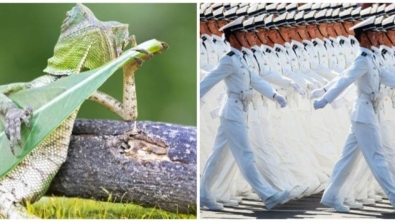 Illustration : As strange as it may seem, these 30 images have not been retouched