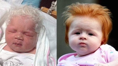 Illustration : 14 babies born with a lot of hair!