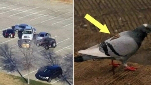 Illustration : "12 hilarious photos that prove that karma does exist"