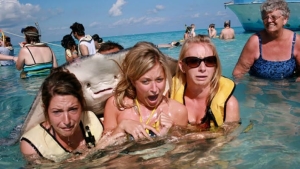 Illustration : "28 vacation pictures ruined by animals. Who can keep a straight face now?"