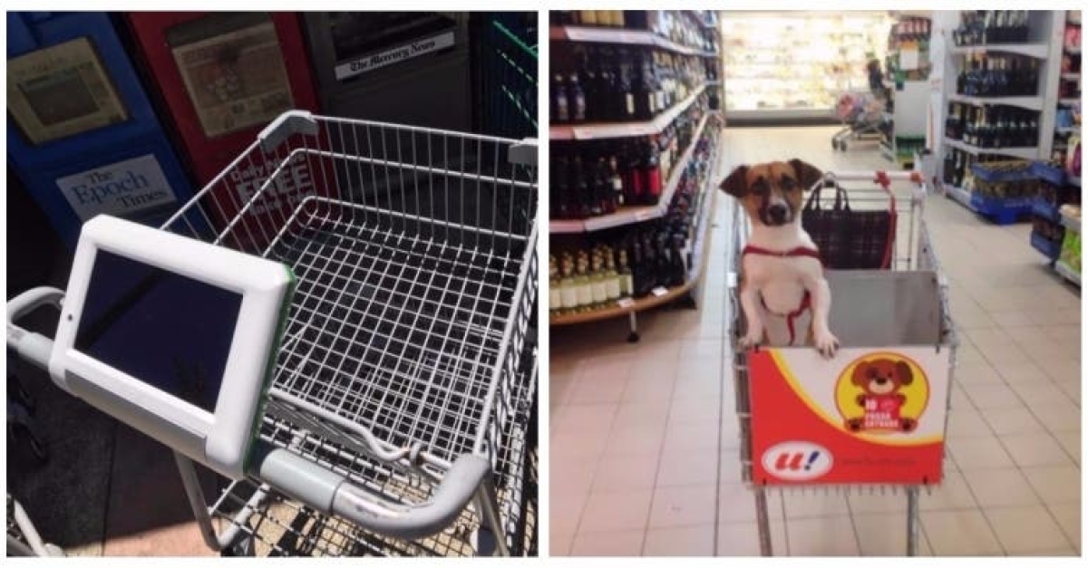 14 stores where customers are treated like royalty