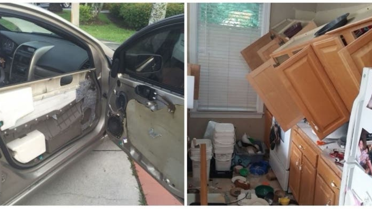 20 photos that unlucky people will understand